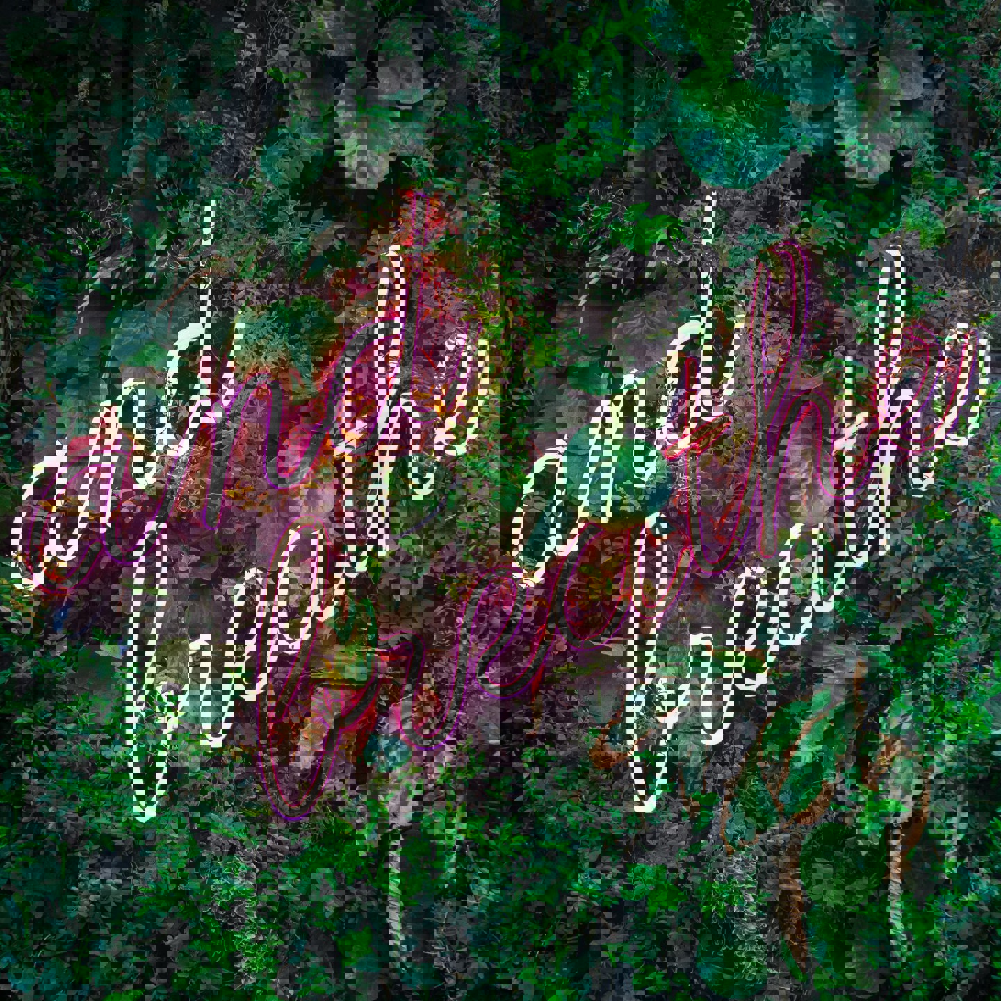 Image of neon lights of the words 'and breathe' on a living plant wall