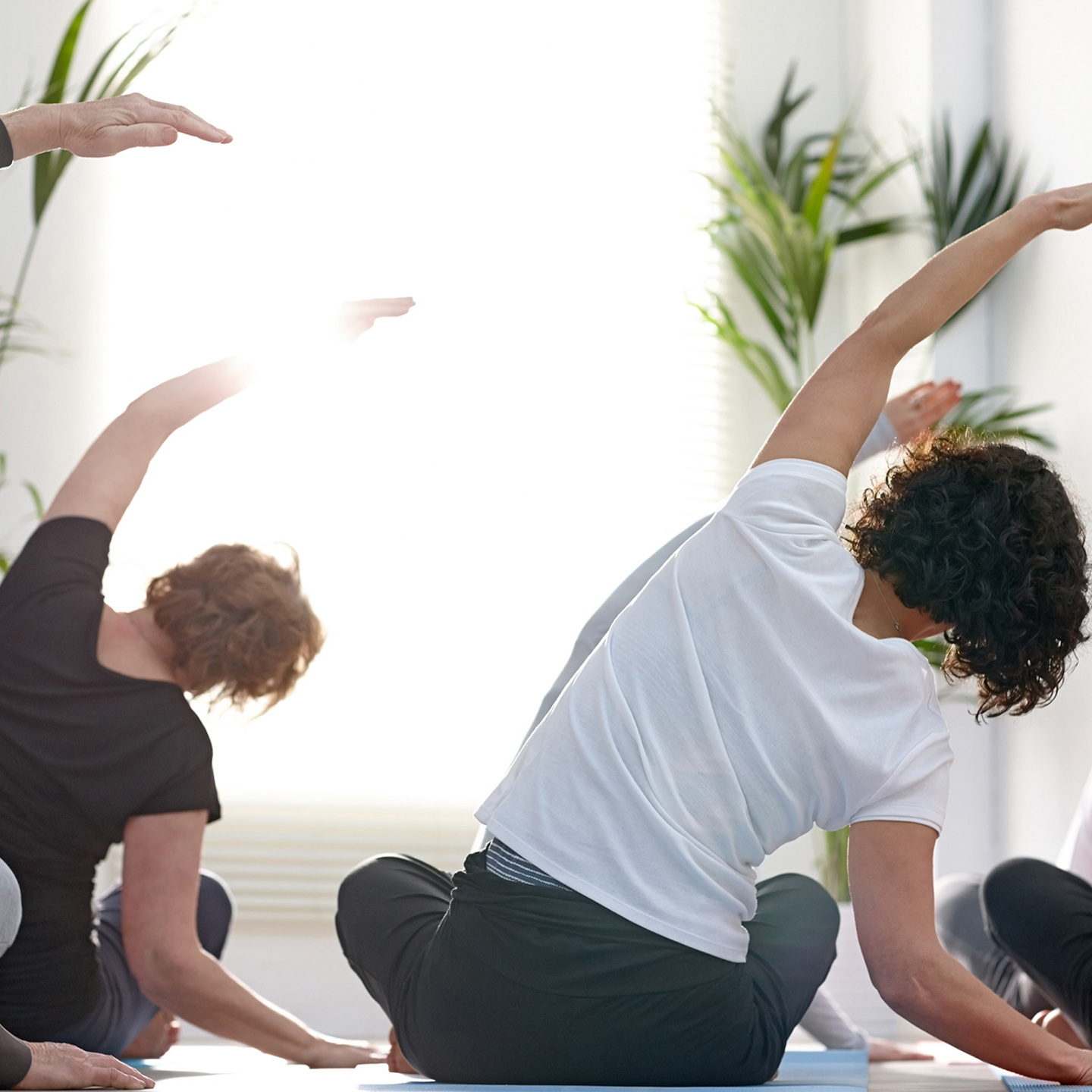 People doing yoga, their backs are towards the camera with one arm in the air leaning over