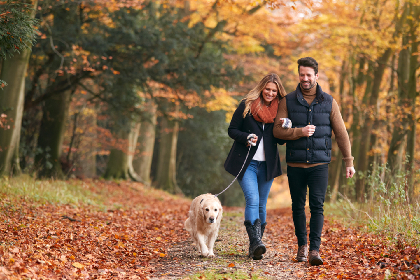Image of a man and woman with a dog walking in autumn on a little lane surrounded by trees