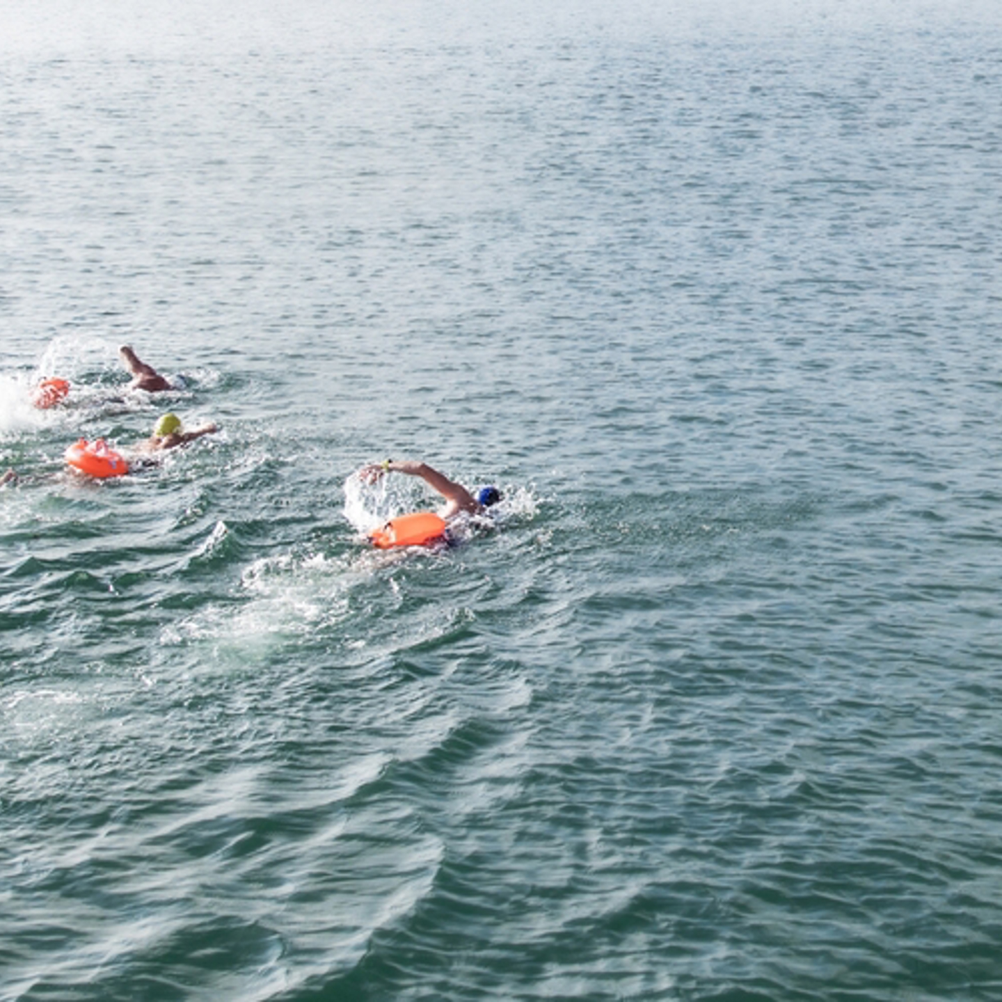 Photo of three open water swimmers swimming in the sea with orange floatation buoys