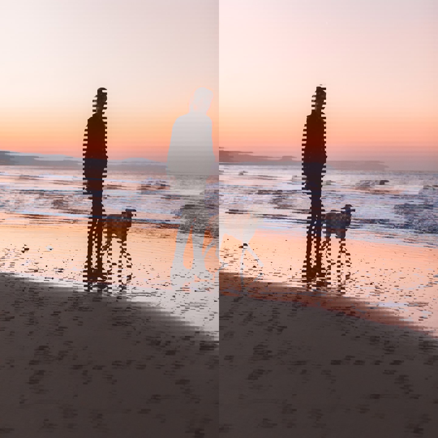 Image of a person walking their dog on a beach at sunset