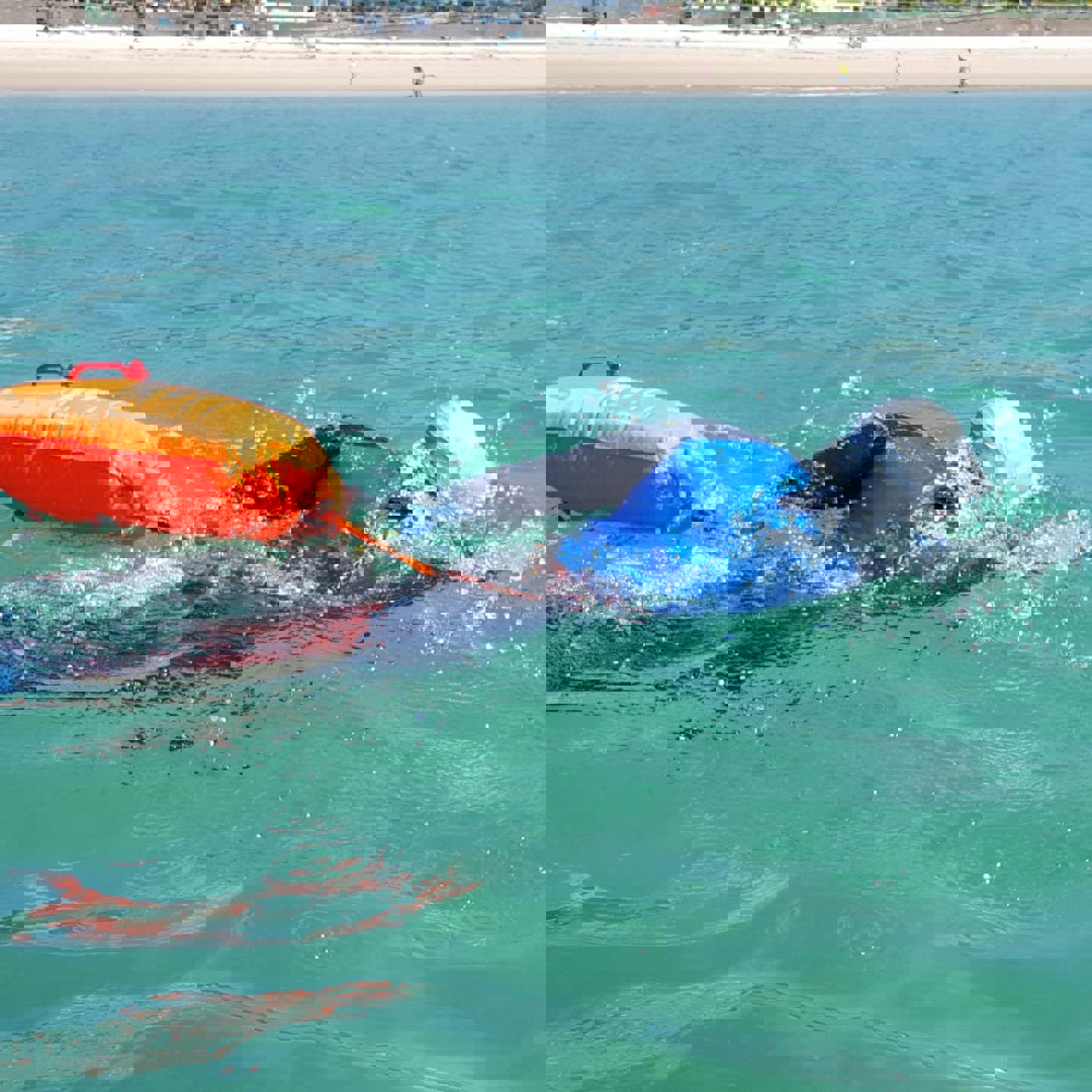 Photo of swimming in sea