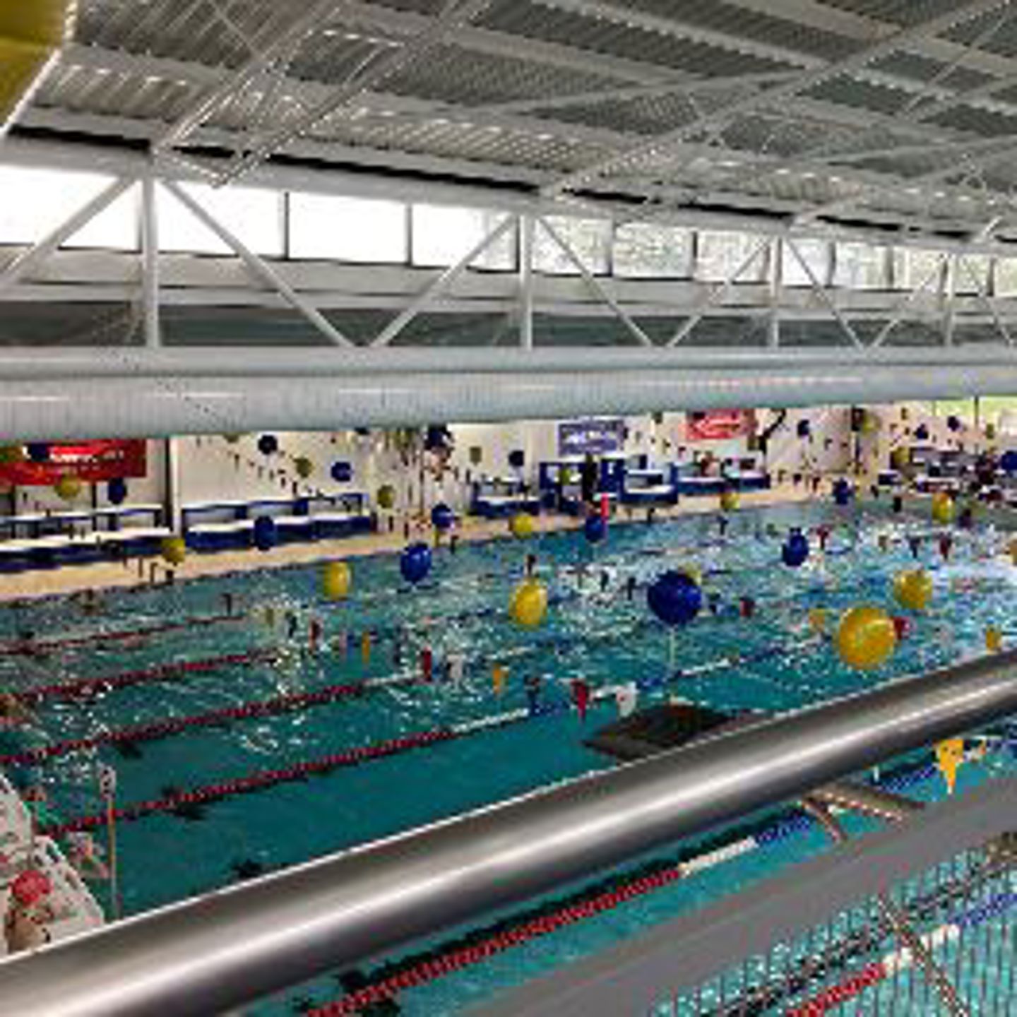 LQ Pool (1)