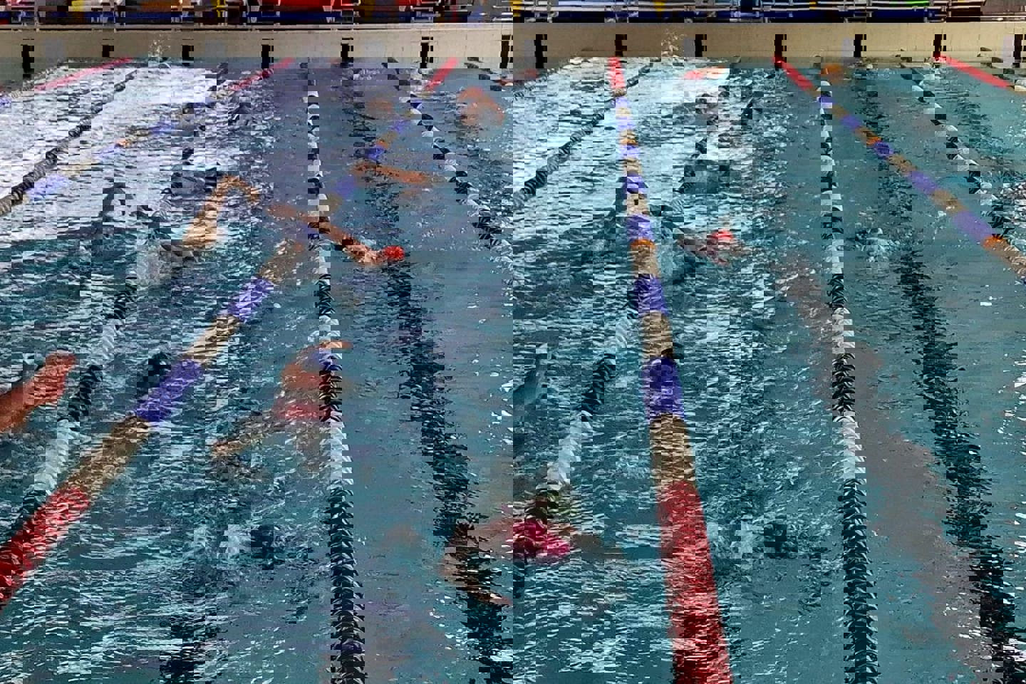Photo of swimmers in lanes for Swimarathon