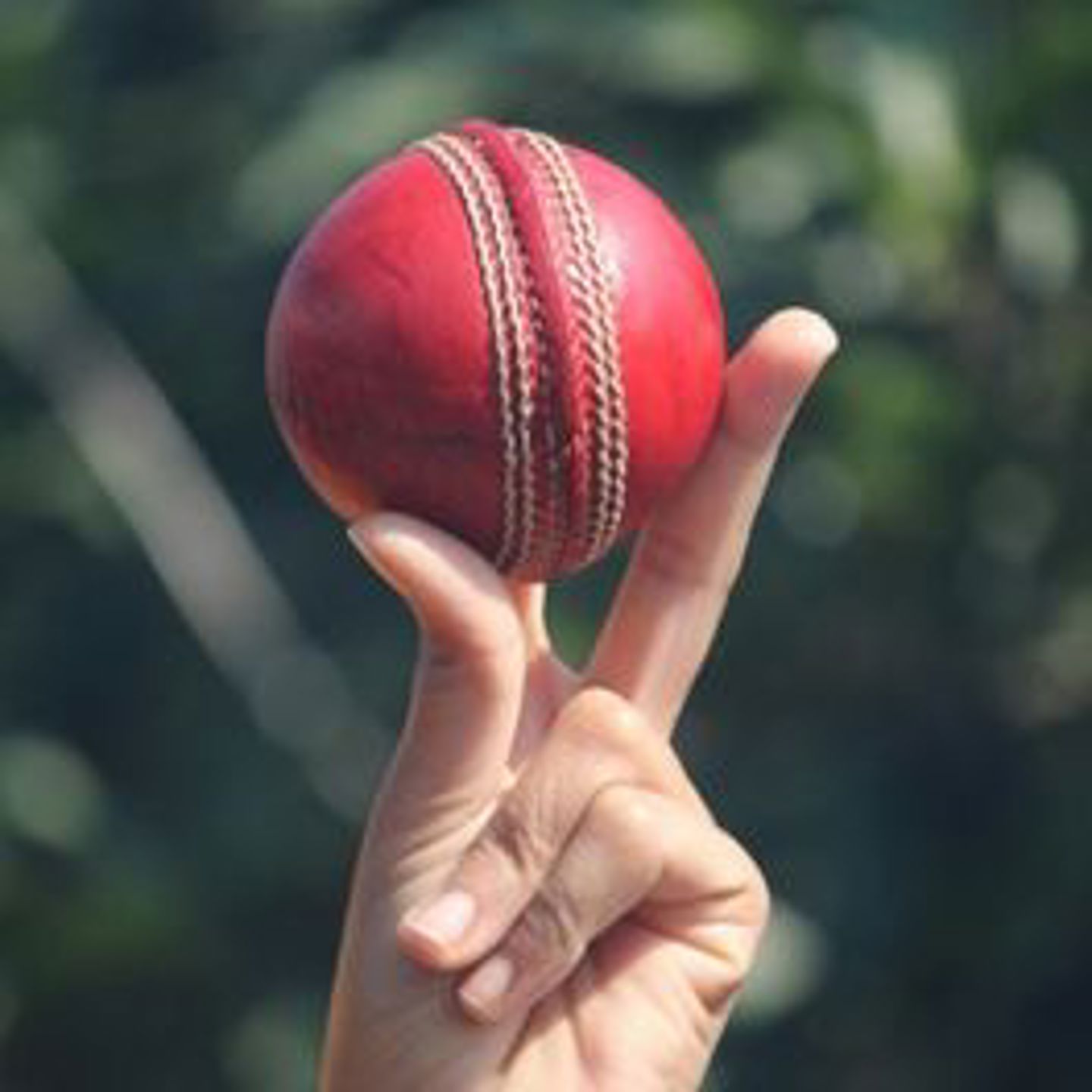 Indoor Cricket