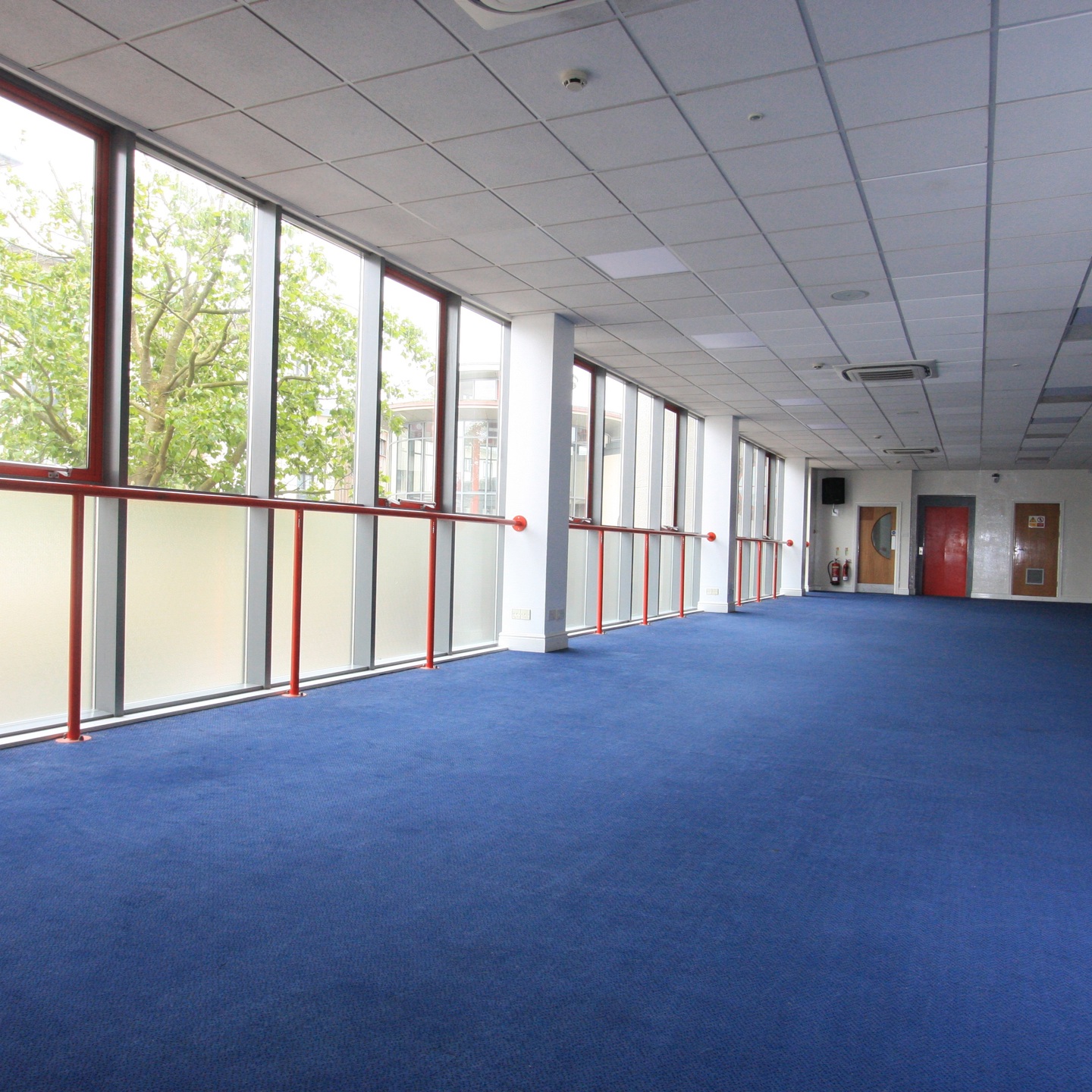 Photo of the blue room at Springfield Stadium, the carpet is blue